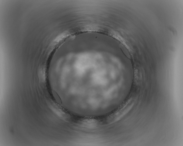 X0000115480203200911061224