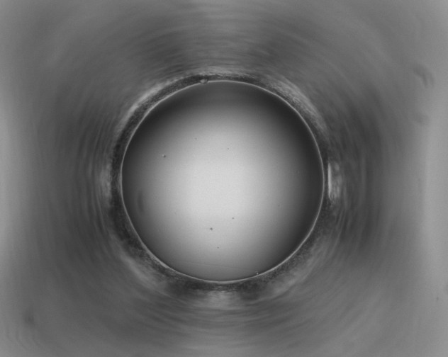 X0000115480204200911061224