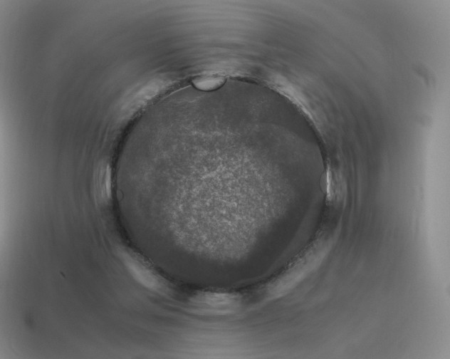 X0000115480205200911061224