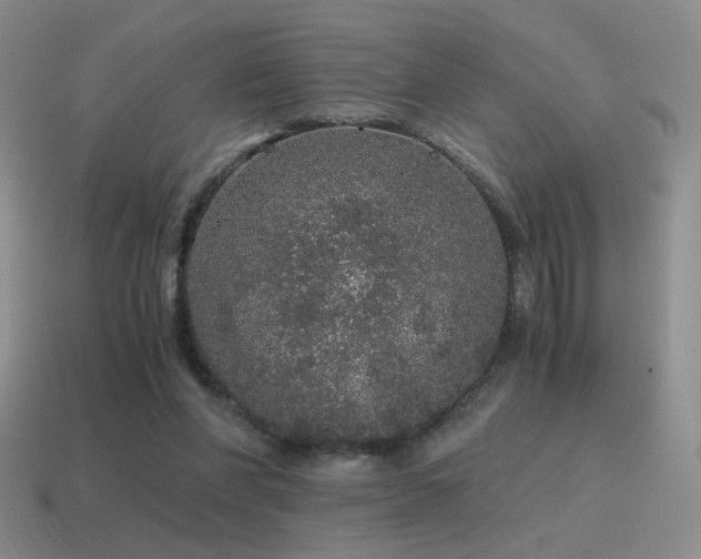 X0000115480206200911061224