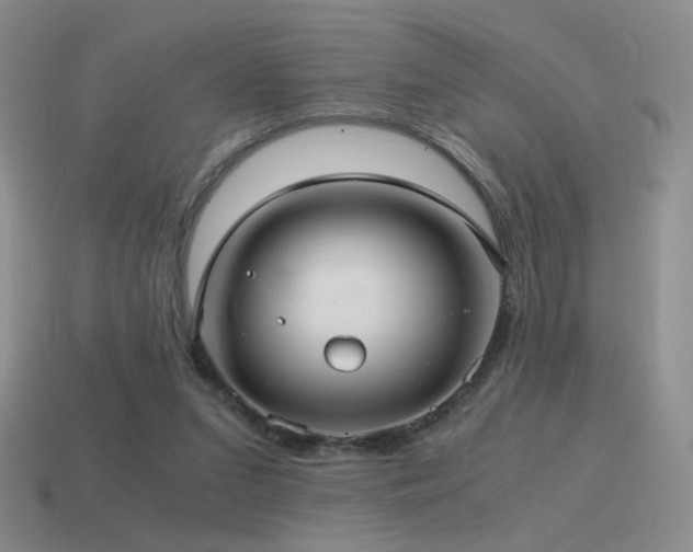 X0000115480207200911061224