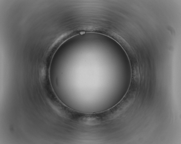 X0000115480208200911061224