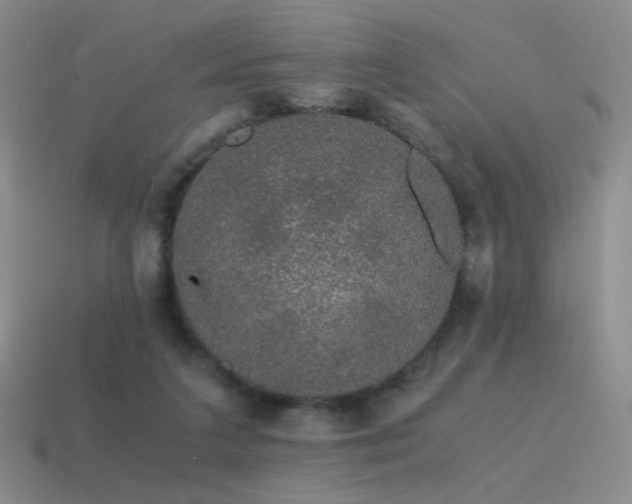 X0000115480211200911061224