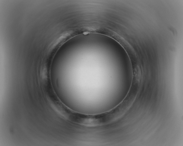 X0000115480212200911061224