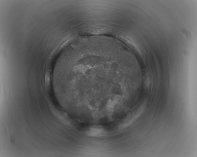 X0000115480214200911061224