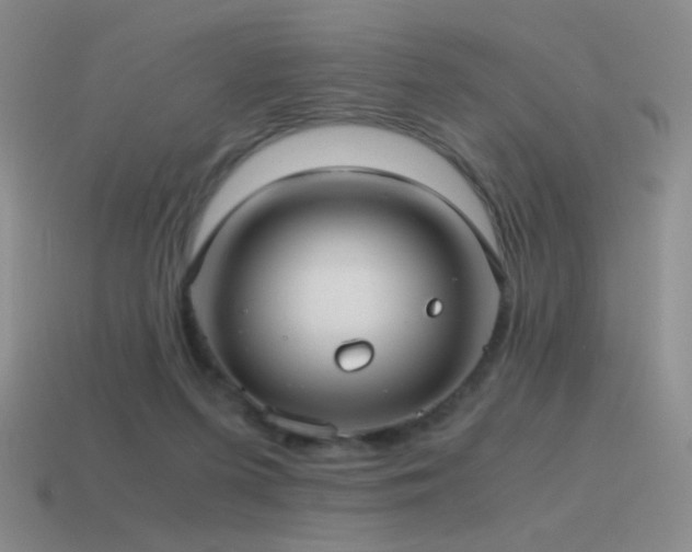 X0000115480215200911061224