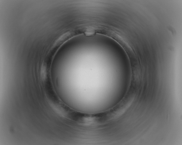 X0000115480216200911061224