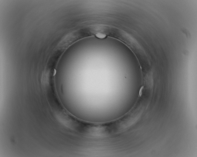 X0000115480217200911061224