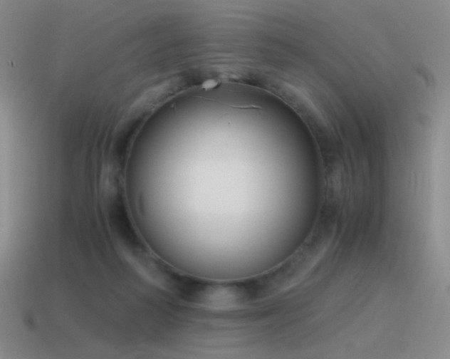 X0000115480218200911061224