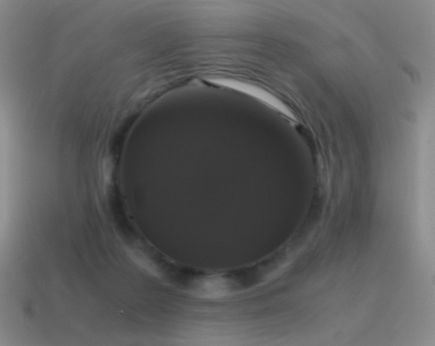 X0000115480219200911061224