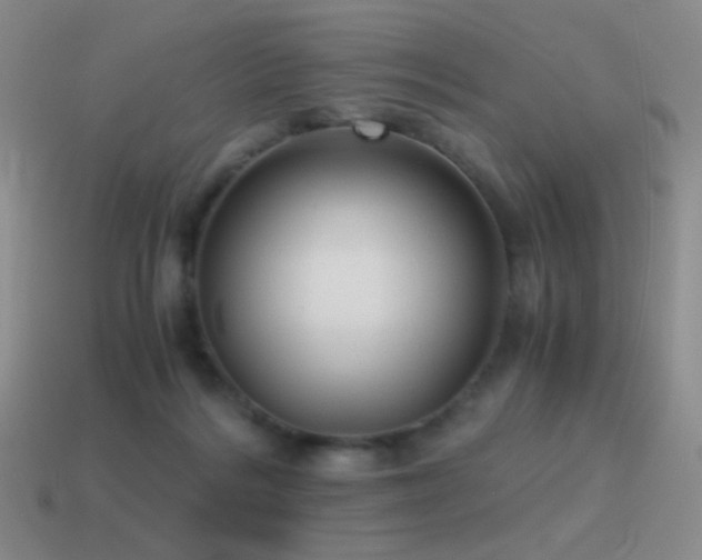 X0000115480220200911061224