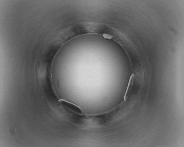 X0000115480221200911061224