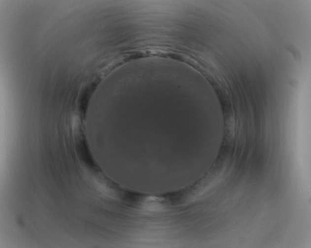 X0000115480222200911061224