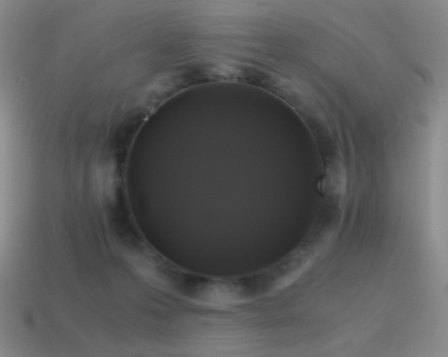 X0000115480223200911061224