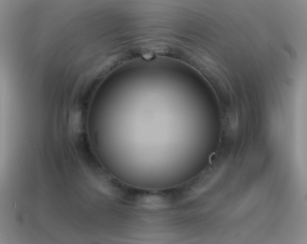 X0000115480224200911061224