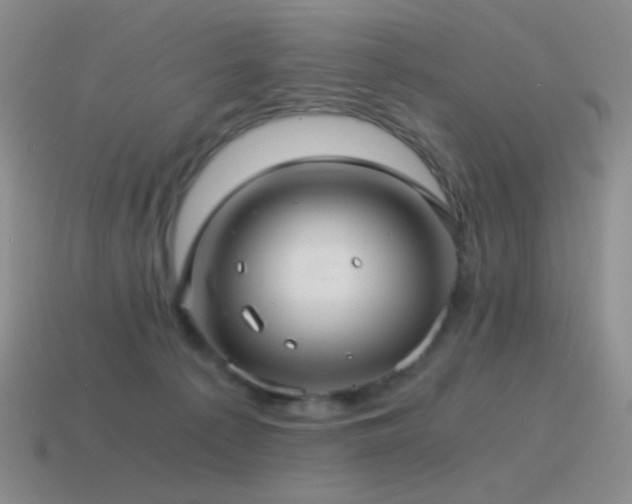 X0000115480225200911061224