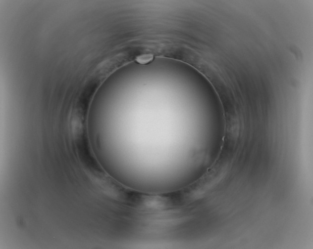 X0000115480226200911061224