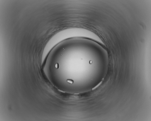 X0000115480227200911061224