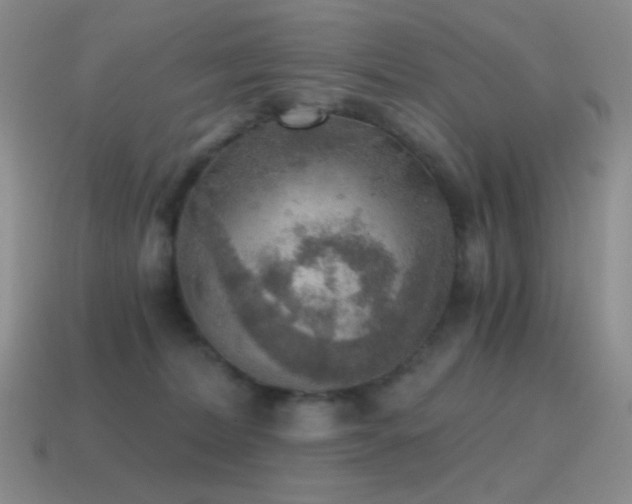 X0000115480228200911061224