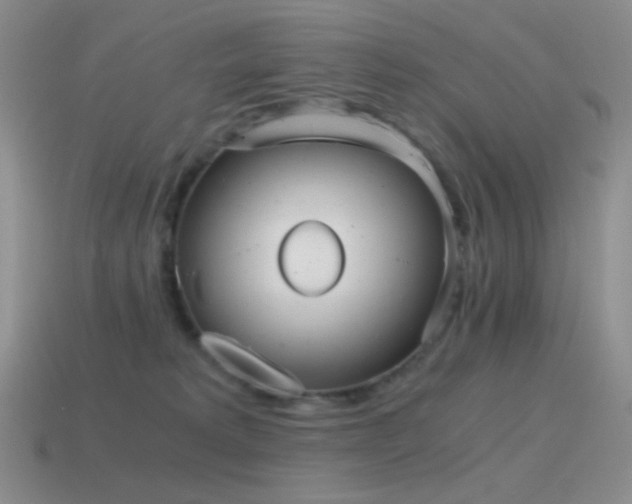 X0000115480229200911061224