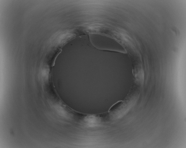 X0000115480231200911061224