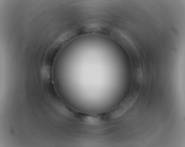 X0000115480232200911061224