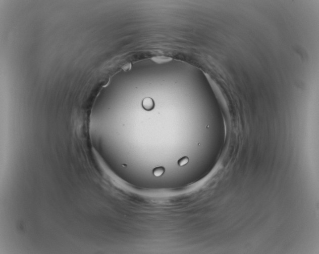 X0000115480233200911061224