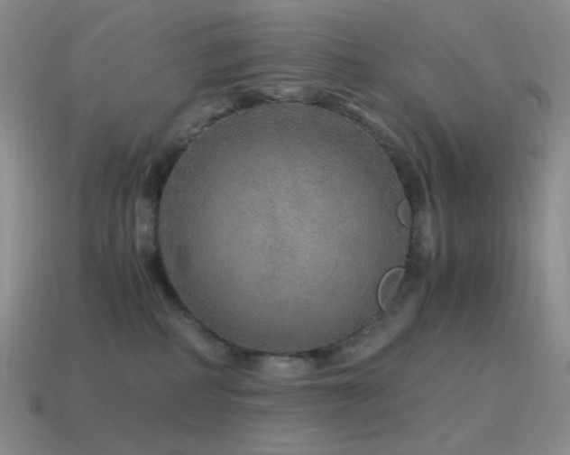 X0000115480234200911061224