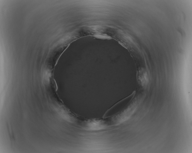 X0000115480235200911061223