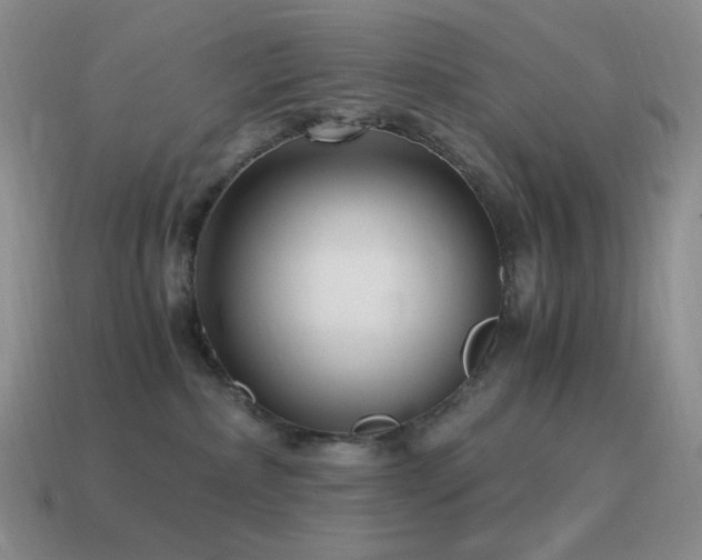 X0000115480236200911061223