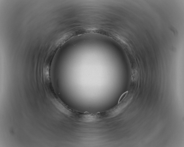 X0000115480238200911061223