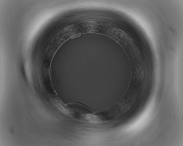 X0000115480239200911061223