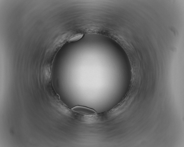 X0000115480240200911061223