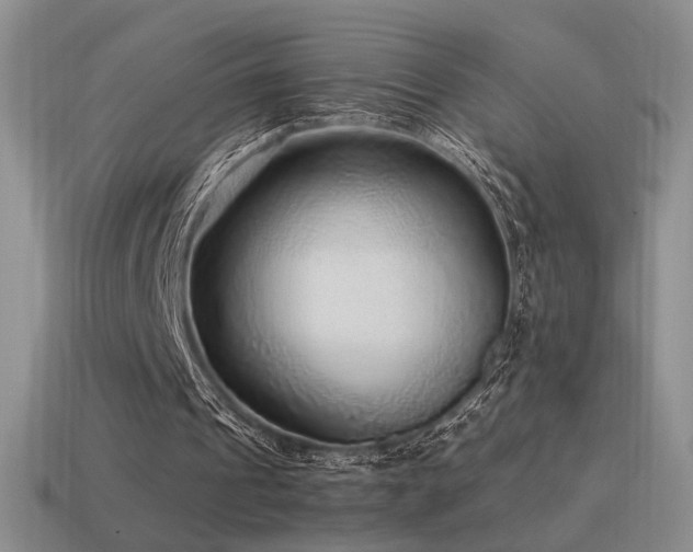 X0000115480241200911061223