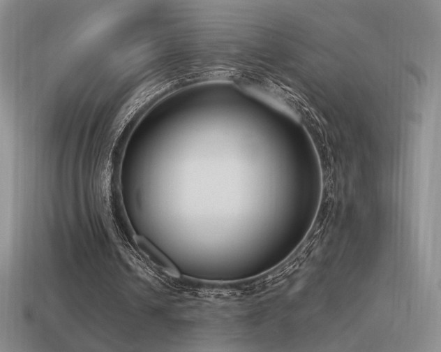 X0000115480242200911061223