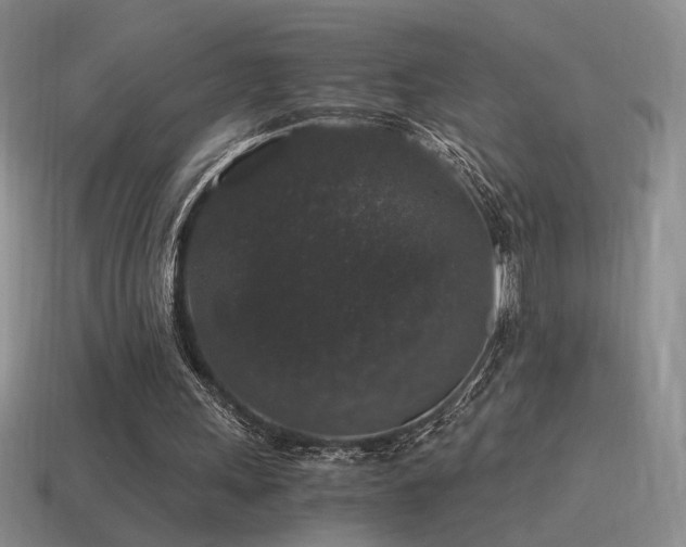 X0000115480243200911061223