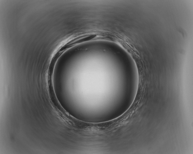 X0000115480244200911061223