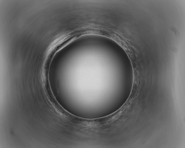 X0000115480245200911061223