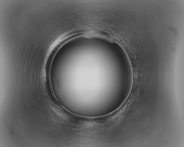 X0000115480246200911061223