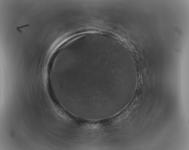 X0000115480247200911061223