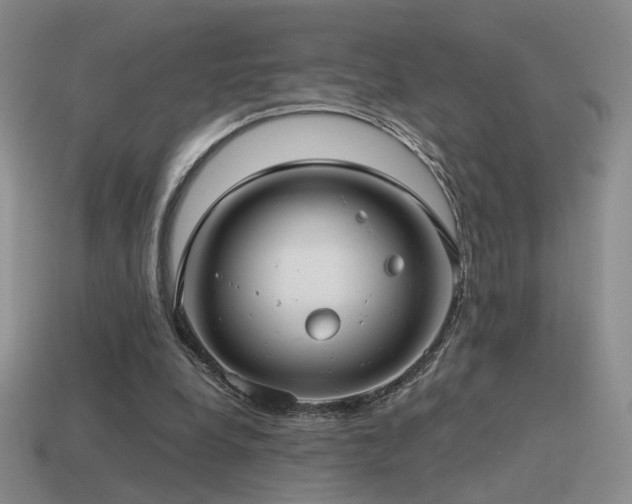 X0000115480248200911061223