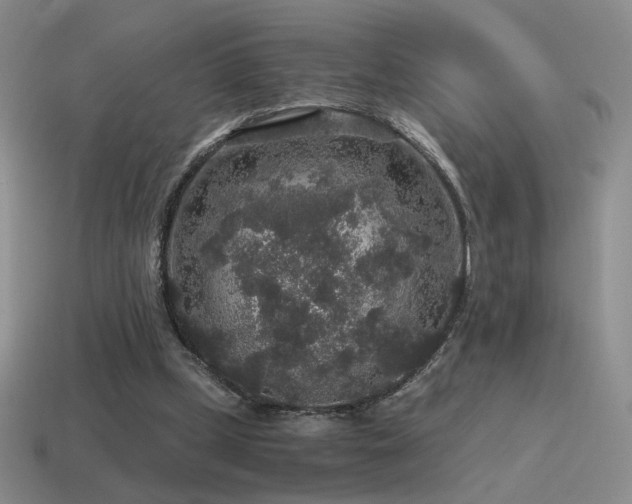 X0000115480249200911061223