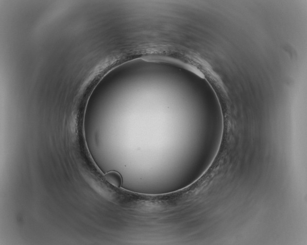 X0000115480250200911061223