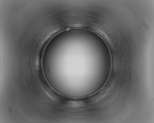 X0000115480251200911061223