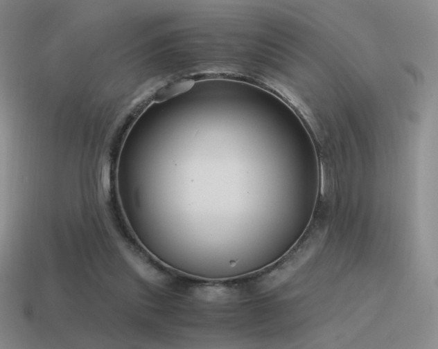 X0000115480253200911061223