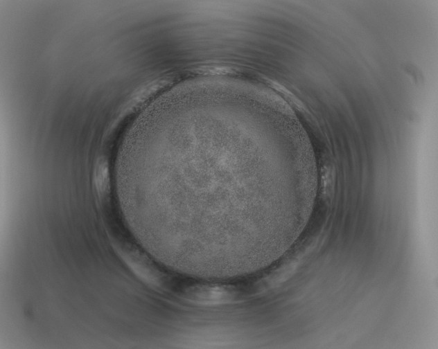 X0000115480254200911061223