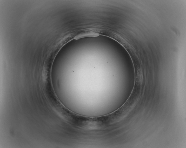 X0000115480255200911061223