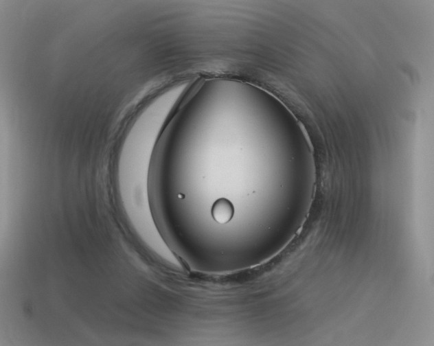 X0000115480256200911061223