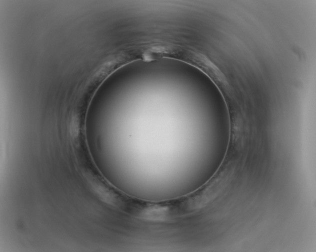 X0000115480257200911061223