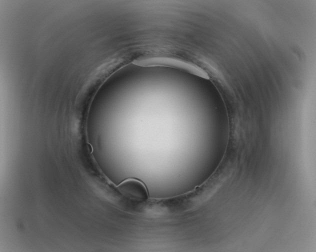 X0000115480258200911061223